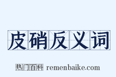 皮硝反义词是什么意思的图片